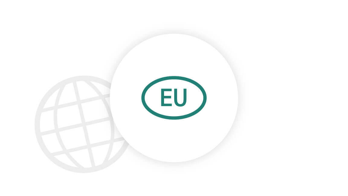 Icon with globe and EU sign