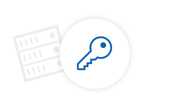 Icon mit Server und Schlüssel