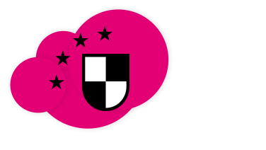 Icon Schutzschild: Maximale Sicherheit