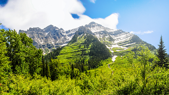 Bild der Schweizer Berge.