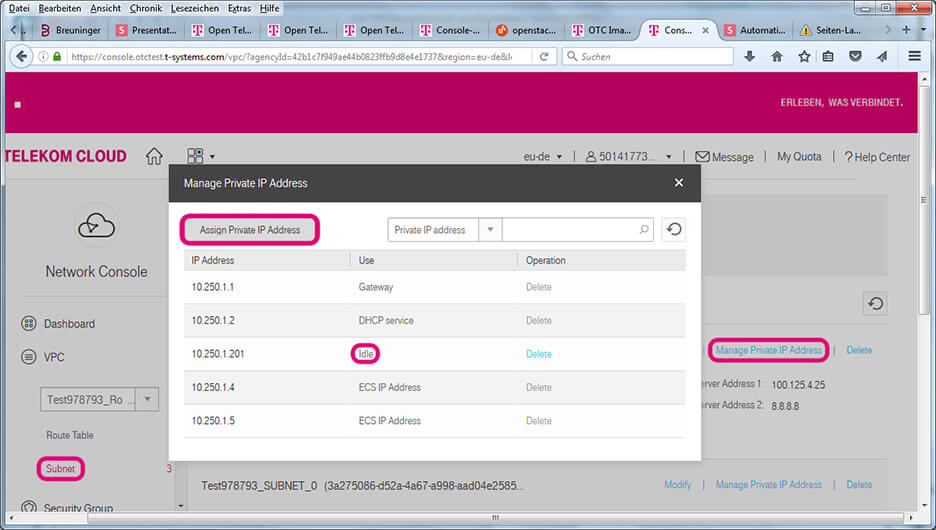 Screenshot shows how to manage private IP address.