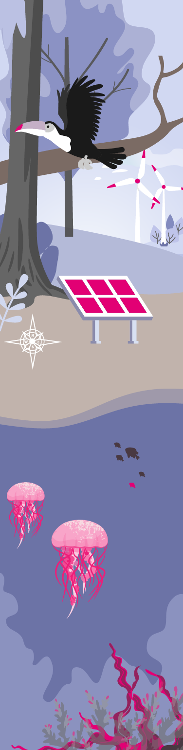 Illustration mit Wald, Vogel, Solarpanel, Windrädern und Quallen