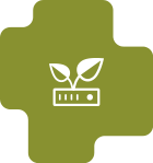 Icon mit 2 Blättern die aus einem Server wachsen