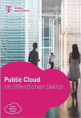 Bild erste Seite PDF zu Public Cloud